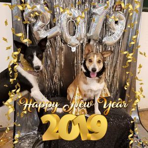 Meet your Posher, Leonda